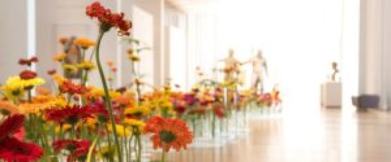 Art in Bloom at NCMA