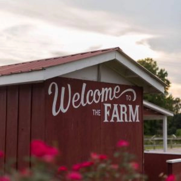 Grand Reopening at Phillips Farms
