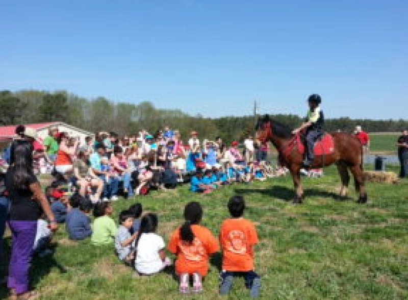 Farm Animal Days at NC State University