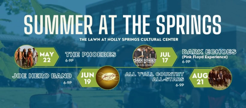 Summer at The Springs: The Phoebes