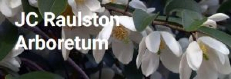JC Raulston Arboretum Garden Storytime