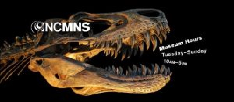 Family Painting Class at NC Museum of Natural Sciences