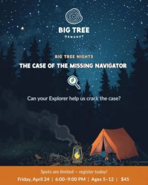 Big Tree Hang Out Parents' Night Out