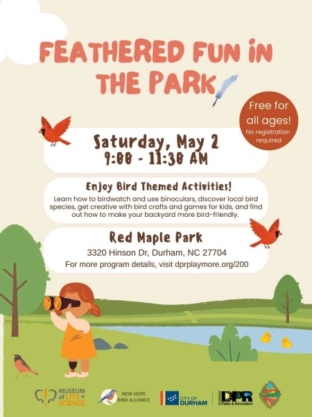 Feathered Fun in the Park: A Free Bird Bash