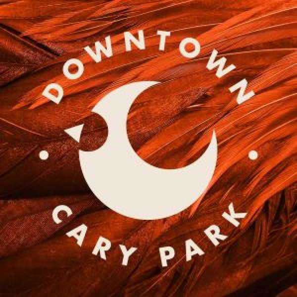 Downtown Cary Park Children's BINGO