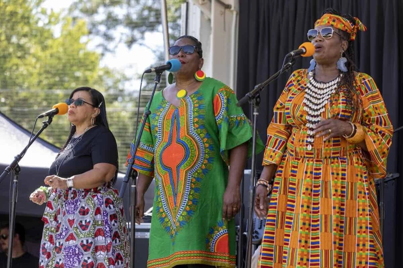 Chapel Hill-Carrboro Juneteenth Celebration