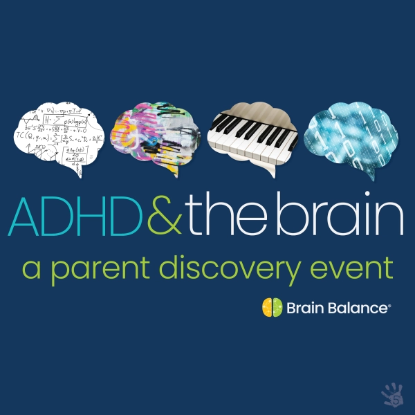 ADHD & The Brain