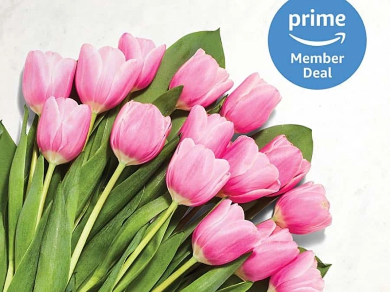 Whole Foods Market Mother's Day Tulip Special