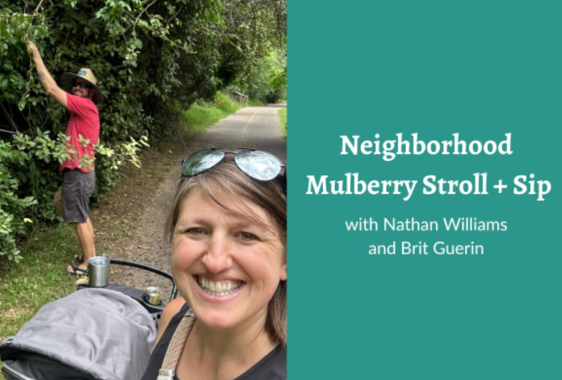 Neighborhood Mulberry Stroll and Sip