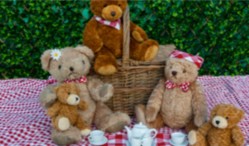 Teddy Bear Picnic
