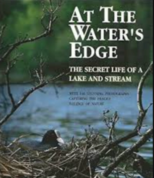 Life at the Waters Edge