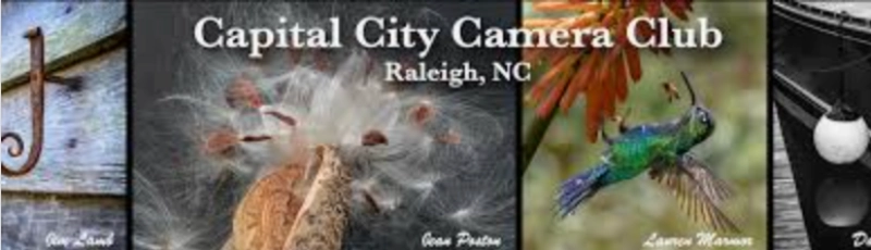 Meet the Artists: Robyn Scott and Capital City Camera Club