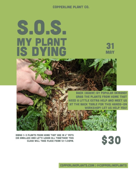 S.O.S. My Plant is Dying