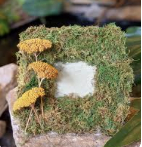 Fairy Frames