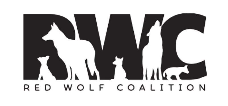 Conservation Convos: Something to Howl About