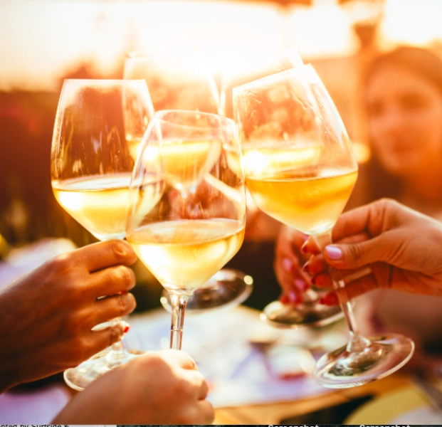 Girls Night Out: Wine Tasting
