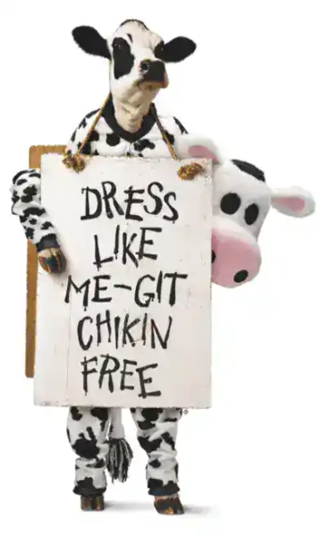 Cow Appreciation Day at Chick-fil-A