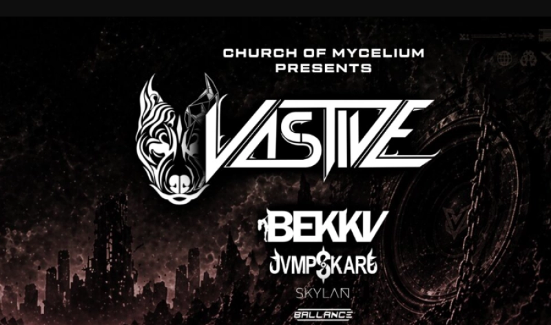 Vastive Live at The Pour House