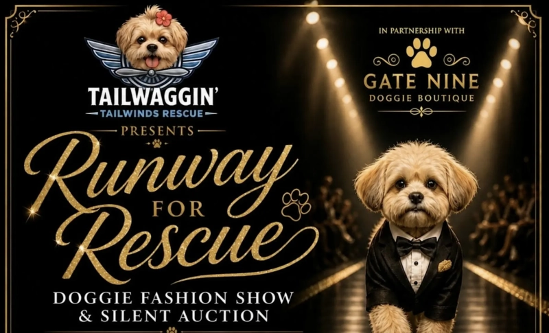 Doggie Fashion Show Fundraiser and Silent Auction