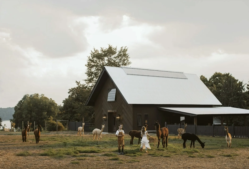 Music and Me: At The Farm x Holl and Stone Farms