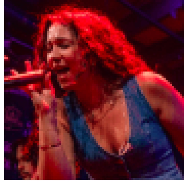 Sydney Reese Live in Concert