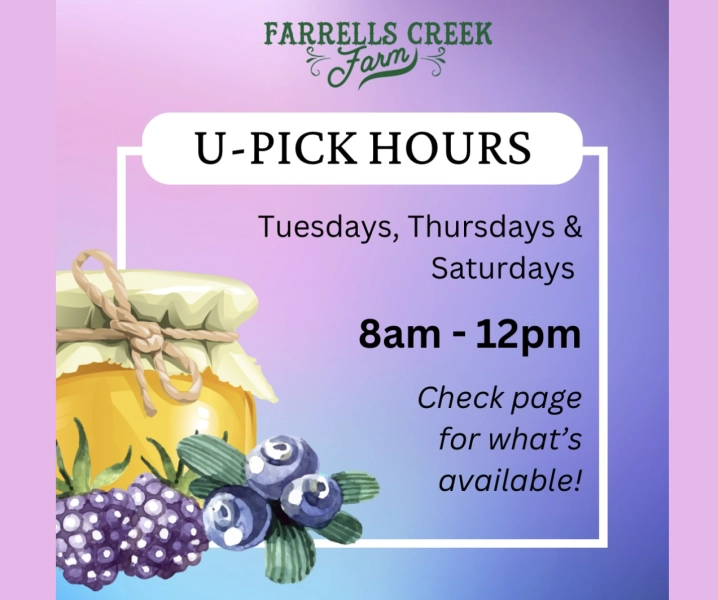 U-Pick Blueberries & Blackberries at Farrell's Creek Farm
