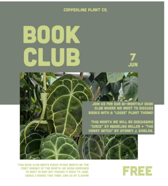 Book Club Meeting: Circe and The Honey Witch