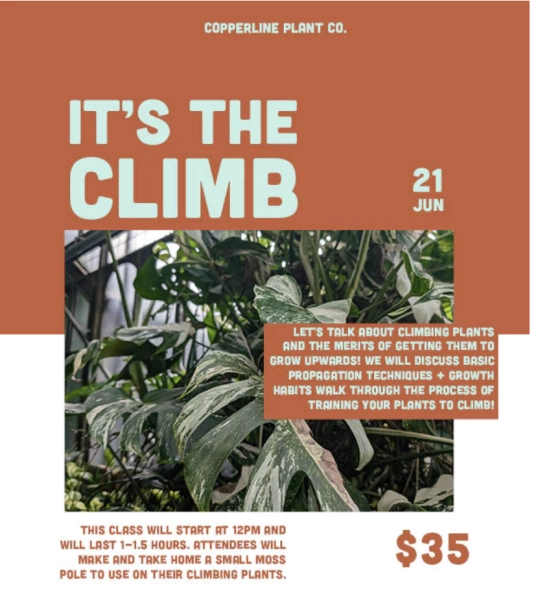 It's the Climb!