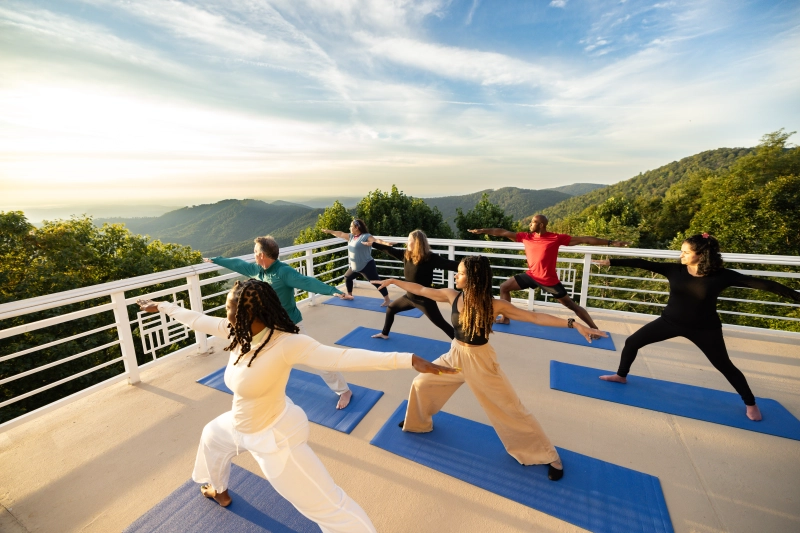 International Day of Yoga Celebration & Wellness Festival