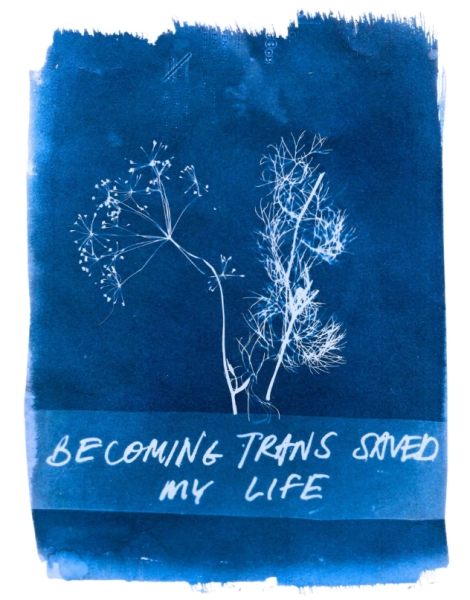 Sun Prints as Personal Archiving with Shiloh Jines
