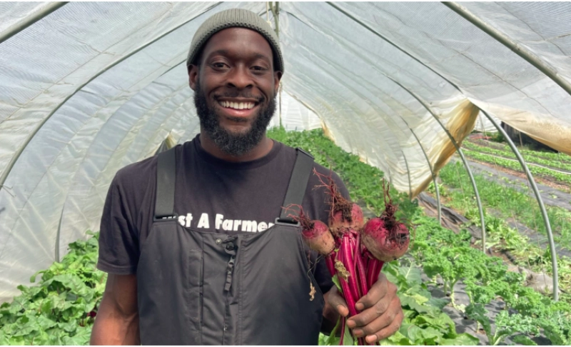 Roots of Discovery: Juneteenth
