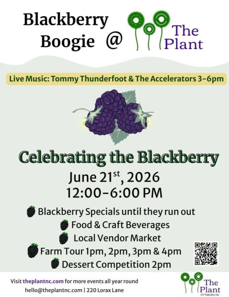 Blackberry Boogie