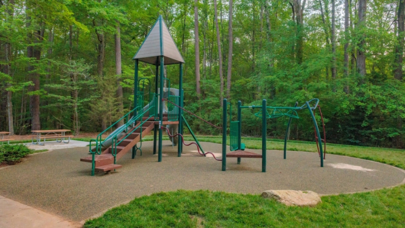 Strickland Road Park Celebration