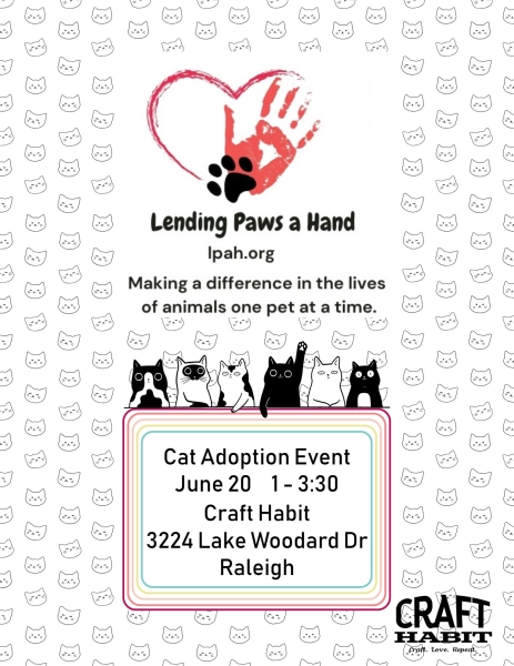 Cat Adoption Event at Craft Habit