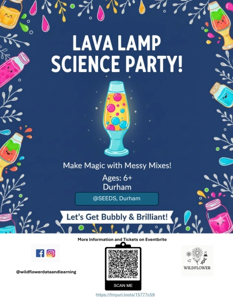 Lava Lamp Science Workshop -  - Poster