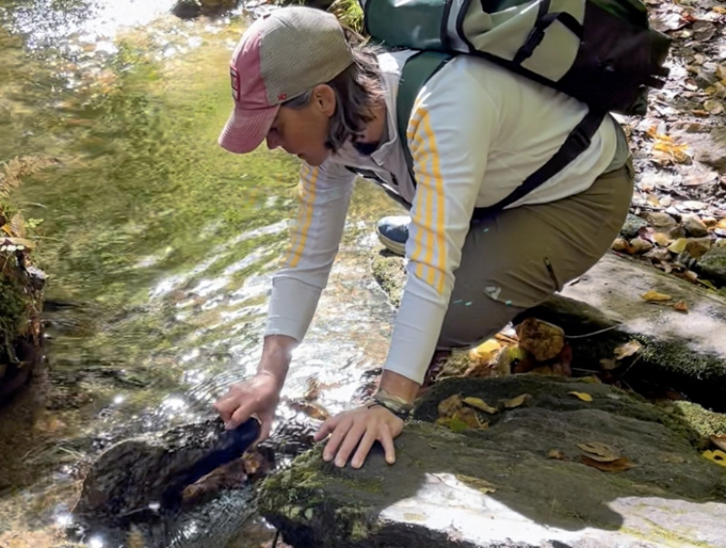 Non-molluscan Invertebrate Research Day