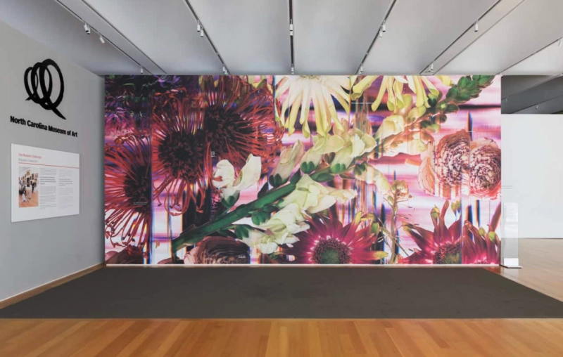 Pop-Up Art: Botanical Collage