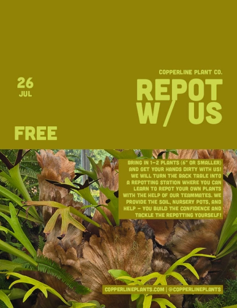 Repotting Clinic