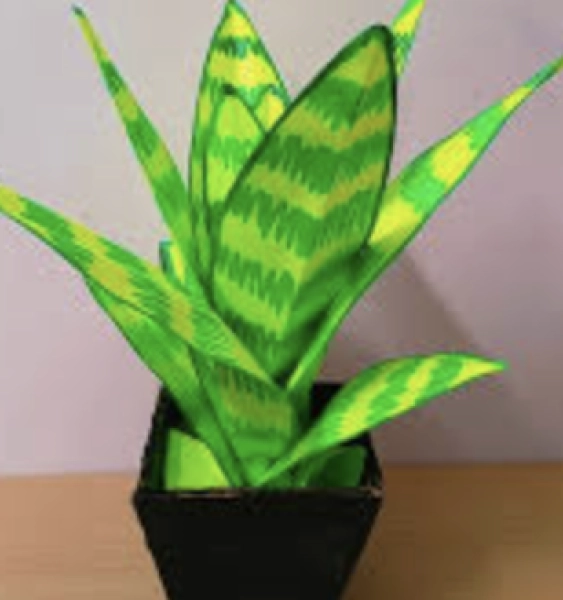 Papercraft Snake Plant Workshop