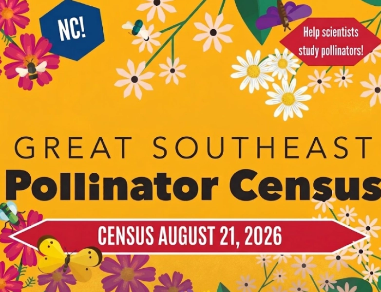 The Great Southeast Pollinator Census