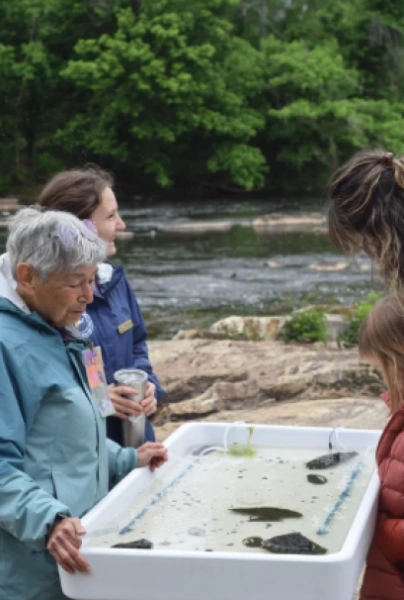 Creek Critter Discovery with Haw River Assembly
