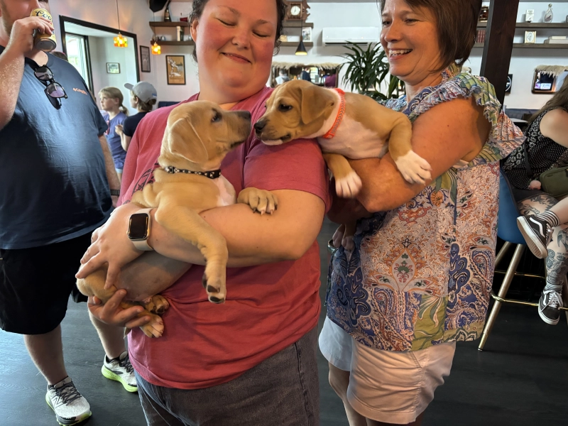 Charley's K9 Rescue Dog Adoption Event