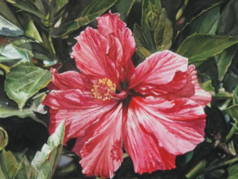 Watercolor Society of North Carolina Gallery Reception