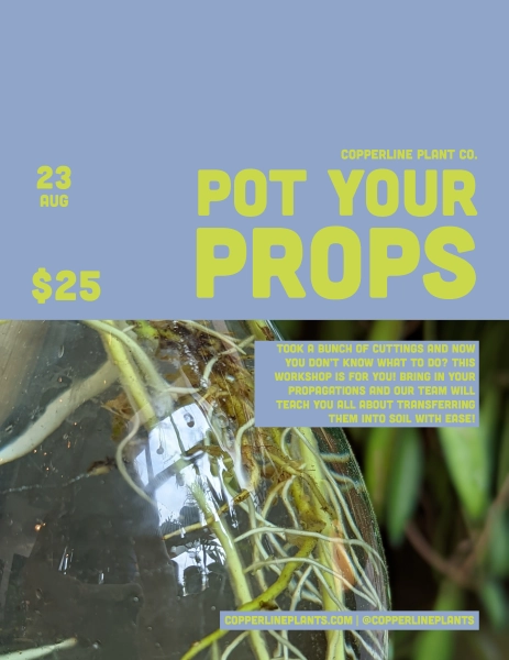 Pot Your Plants
