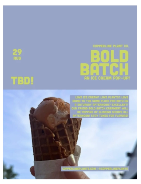 Bold Batch: An Ice Cream Pop-Up