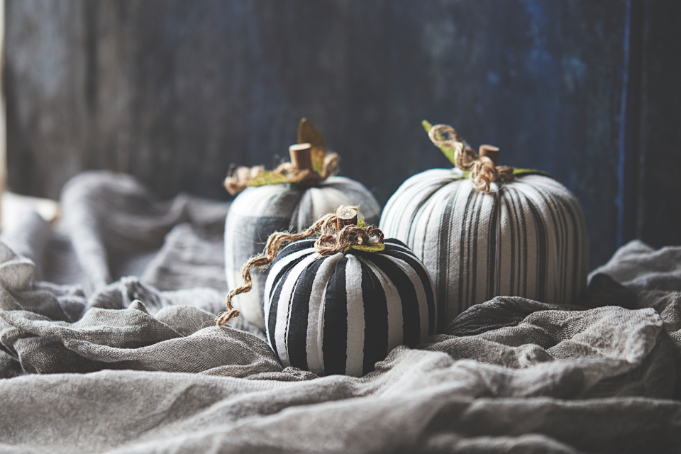 100+ Haunted trails, corn mazes & fall activities around Raleigh
