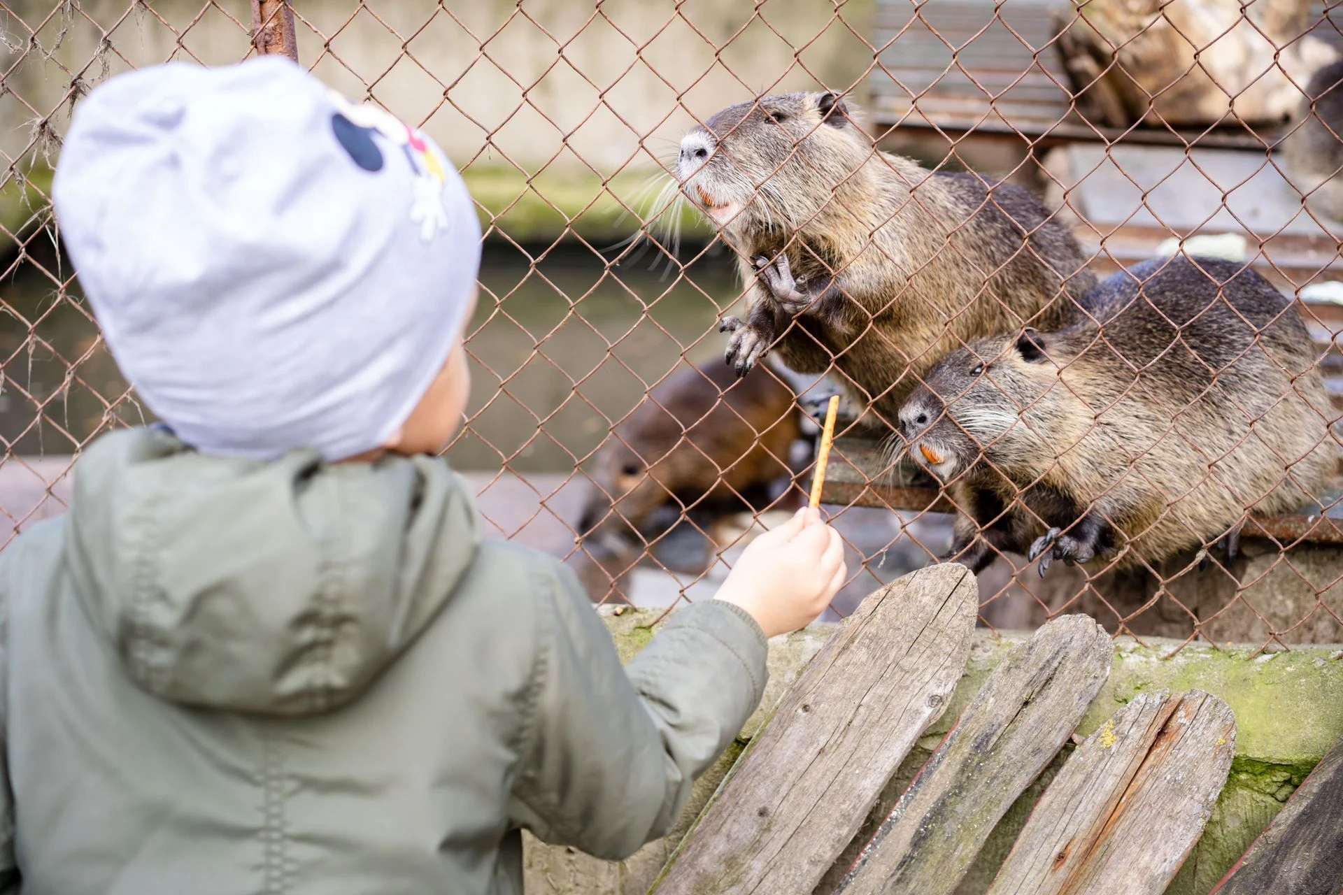 Nature centers around Raleigh