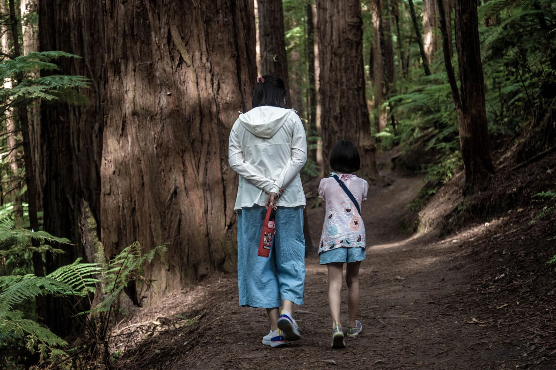 15 best nature walks & hikes around Raleigh