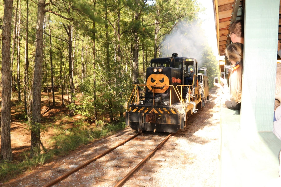 Families enjoying a train ride
