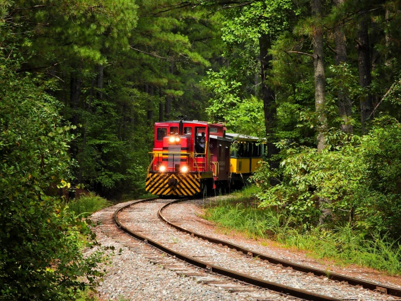 New Hope Valley Railway excursion train